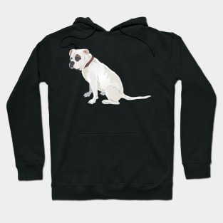 The Pale Boxer Hoodie